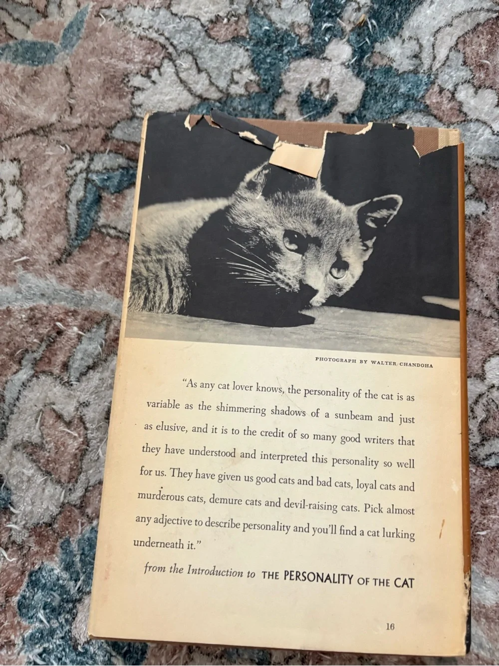 The Personality of a Cat Vintage Book